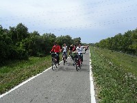 magyart_s_2008_108.jpg