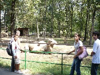 p1010646.jpg