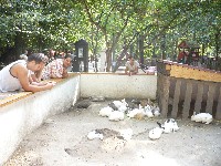 p1010694.jpg
