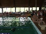 dscf8074.jpg