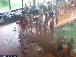 dscf8133.jpg