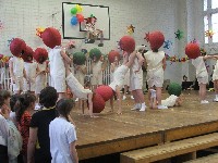 dscf2559.jpg