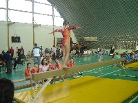 dsc00996.jpg