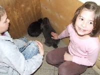 dscf3508.jpg