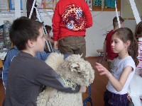 sdc10607.jpg