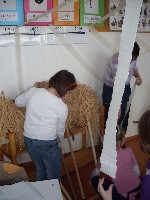 sdc10609.jpg