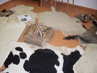 sdc10639.jpg