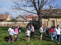 sdc10652.jpg