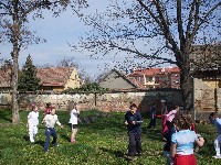 sdc10654.jpg