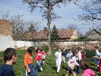 sdc10655.jpg