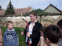 sdc10656.jpg