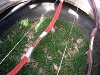 sdc10657.jpg