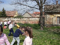 sdc10682.jpg