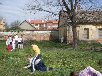 sdc10686.jpg