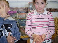 sdc10690.jpg