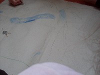 sdc10727.jpg