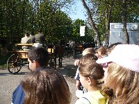 p1030563.jpg