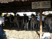 p1030567.jpg