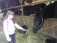 sany0037.jpg