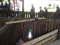 sany0050.jpg