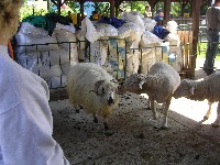 sany0053.jpg