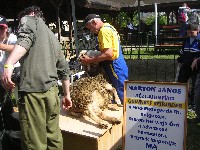 sany0055.jpg