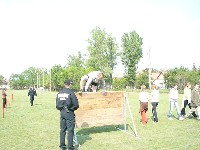 t_zolt__verseny_046.jpg