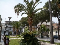 p1050565.jpg