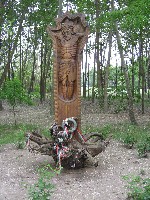 img_2462.jpg
