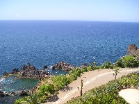 p1010005.jpg