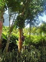 p1010007.jpg