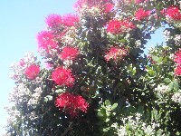 p1010008.jpg