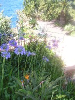 p1010011.jpg