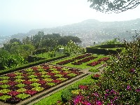 p1010049.jpg