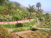 p1010050.jpg