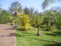 p1010059.jpg