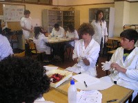 p1010133.jpg