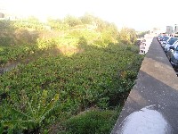p1010145.jpg