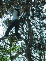 2009_kalandp_lya_058.jpg