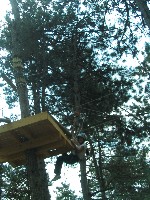 2009_kalandp_lya_088.jpg