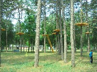 2009_kalandp_lya_093.jpg