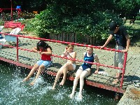 img_3536.jpg