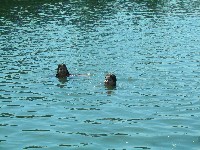 img_3537.jpg