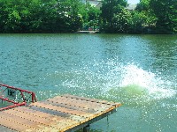 img_3542.jpg