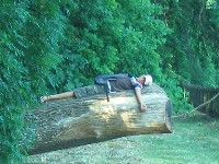 img_3560.jpg