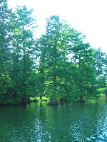 img_3582.jpg