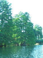 img_3583.jpg