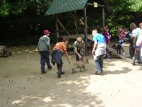 sany0005.jpg