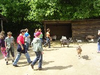 sany0006.jpg