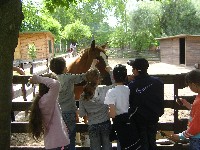 sany0010.jpg